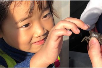 親子向けの日帰り・磯あそびイベントを銚子で開催