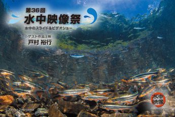 「第36回水中映像祭」江東区文化センターホールで開催