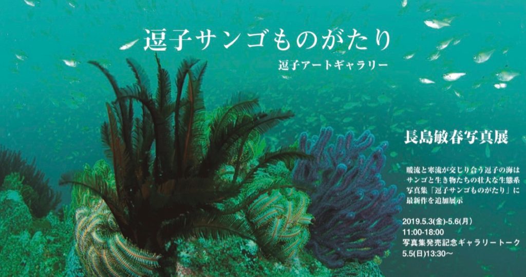 長島敏春写真展「逗子サンゴものがたり」