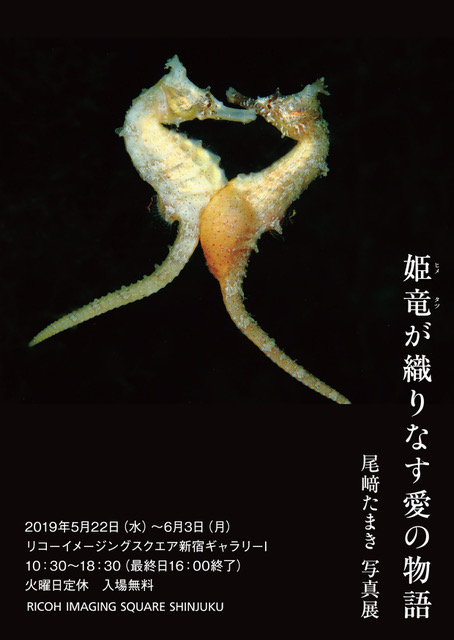 尾崎たまき写真展「姫竜が織りなす愛の物語」