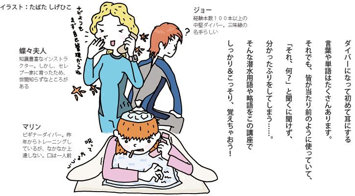 セルフダイビング ダイビング用語こぼれ話 | ダイビングならDiver Online
