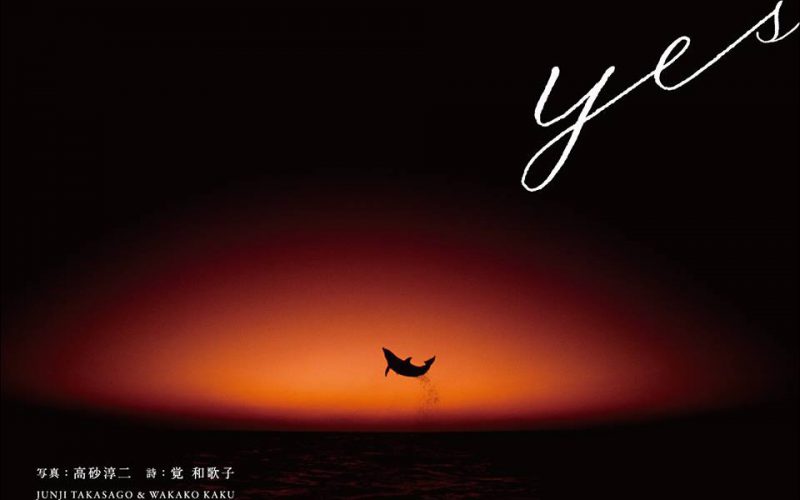 髙砂淳二×覚和歌子×佐藤克彦　写真と詞、音楽で描く『yes』 イベントが3月24日（木）に下北沢で開催