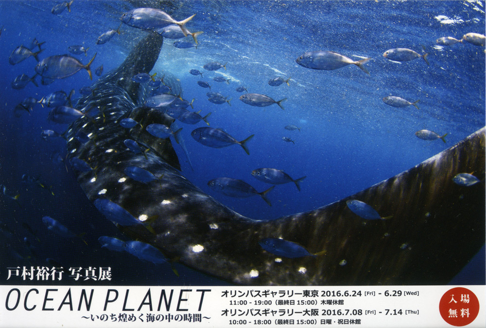 戸村裕行写真展「OCEAN PLANET〜いのち煌めく海の中の時間〜」が東京・大阪で開催　6/24〜