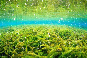 熊本の復興支援、写真のチャリティー販売スタート！