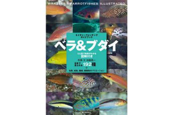 新刊「ベラ＆ブダイ」 200種を掲載！