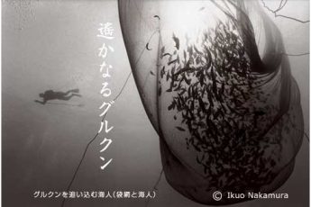 10/29〜11/24 中村征夫写真展「琉球ふたつの海」新宿で開催