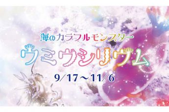 オバケのようなルックス？！ウミウシの特別展を開催中！11/6まで