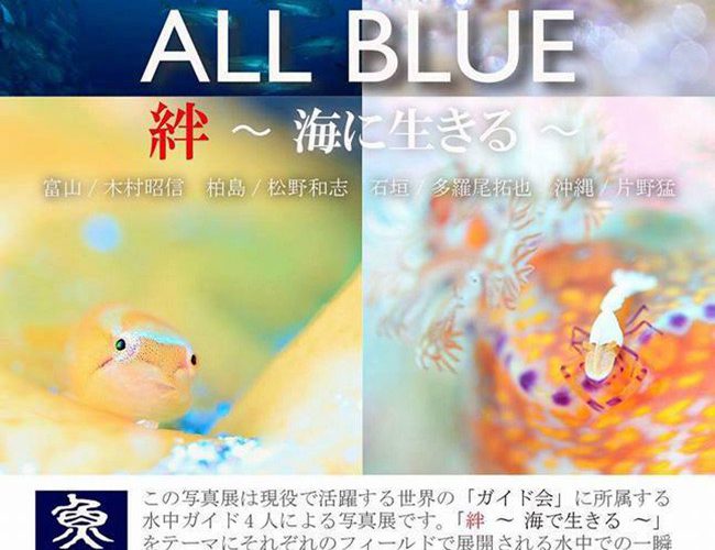 ガイド会写真展「ALL BLUE　絆～海に生きる～」大阪＆東京で開催