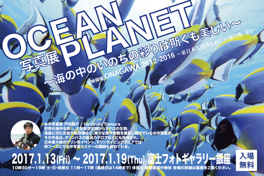 戸村裕行写真展「OCEAN　PLANET　～海の中のいのちの彩りは斯くも美しい～」
