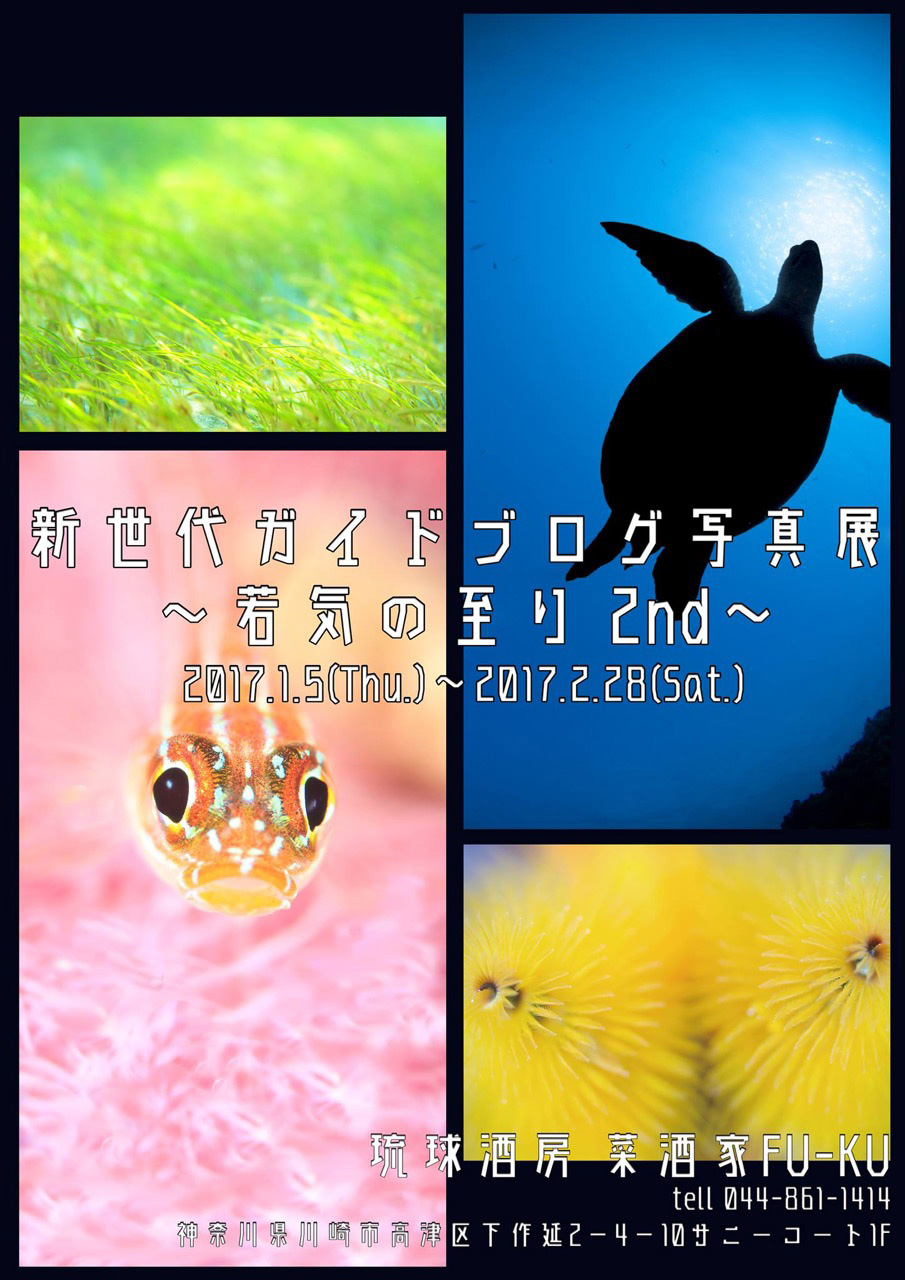 水中写真展「若気の至り 2nd」開催中