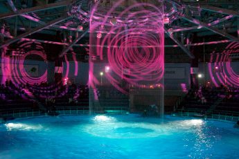 アクアパーク品川「SAKURA AQUARIUM by NAKED」