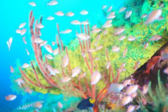 鍵井靖章さんからメッセージ