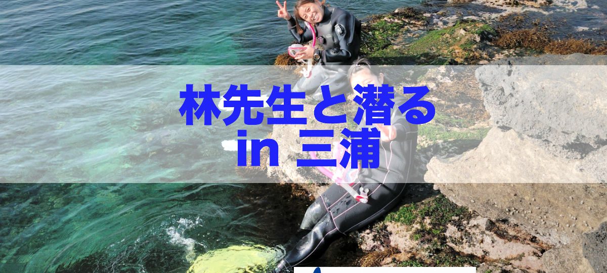 魚類学者 林先生と潜る in三浦
