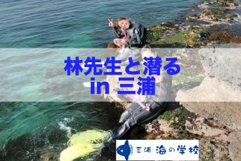 魚類学者 林先生と潜る in三浦
