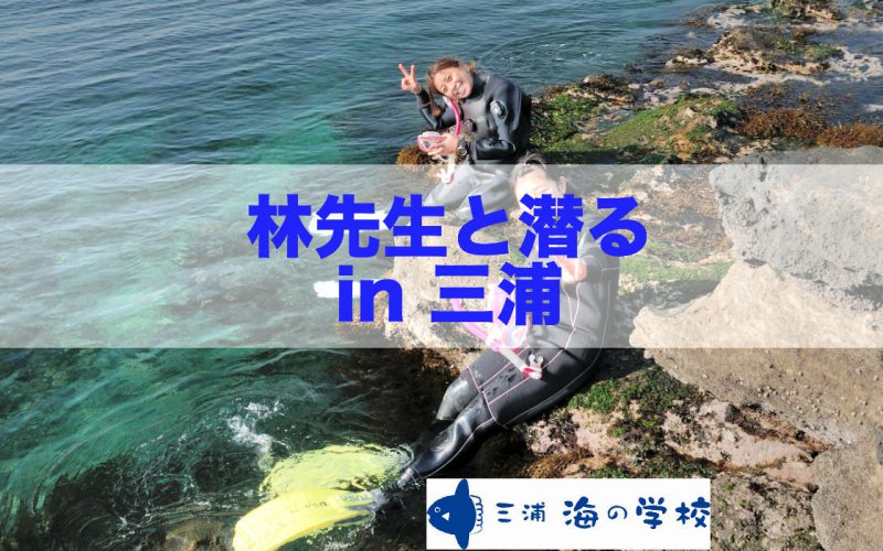 魚類学者 林先生と潜る in三浦