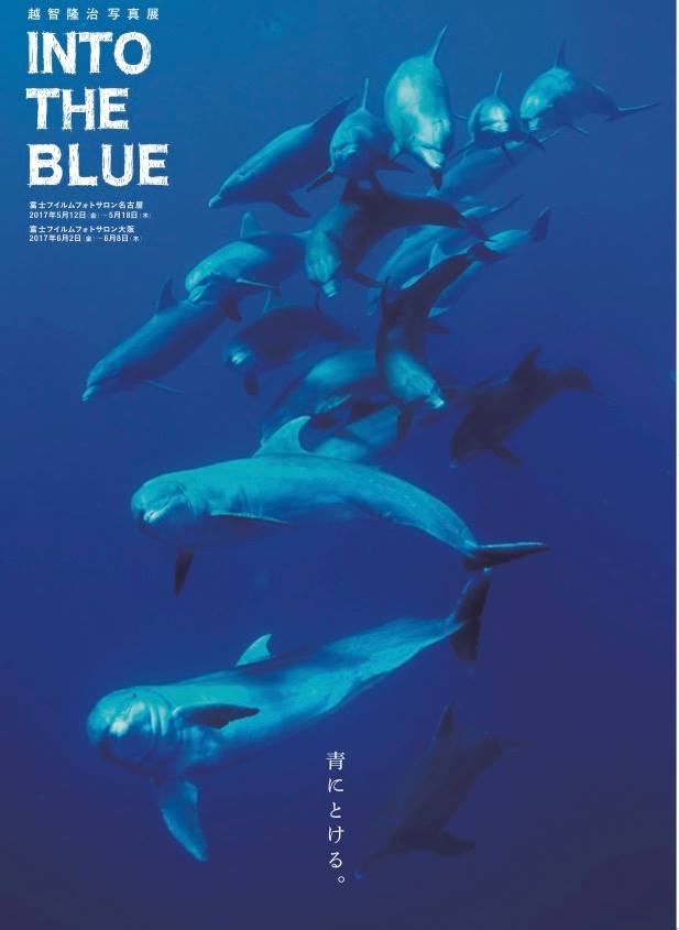 越智隆治写真展「INTO THE BLUE 〜青にとける〜」