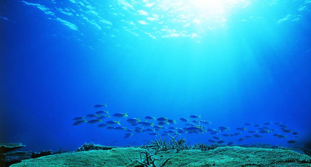 中村征夫写真展「永遠の海」