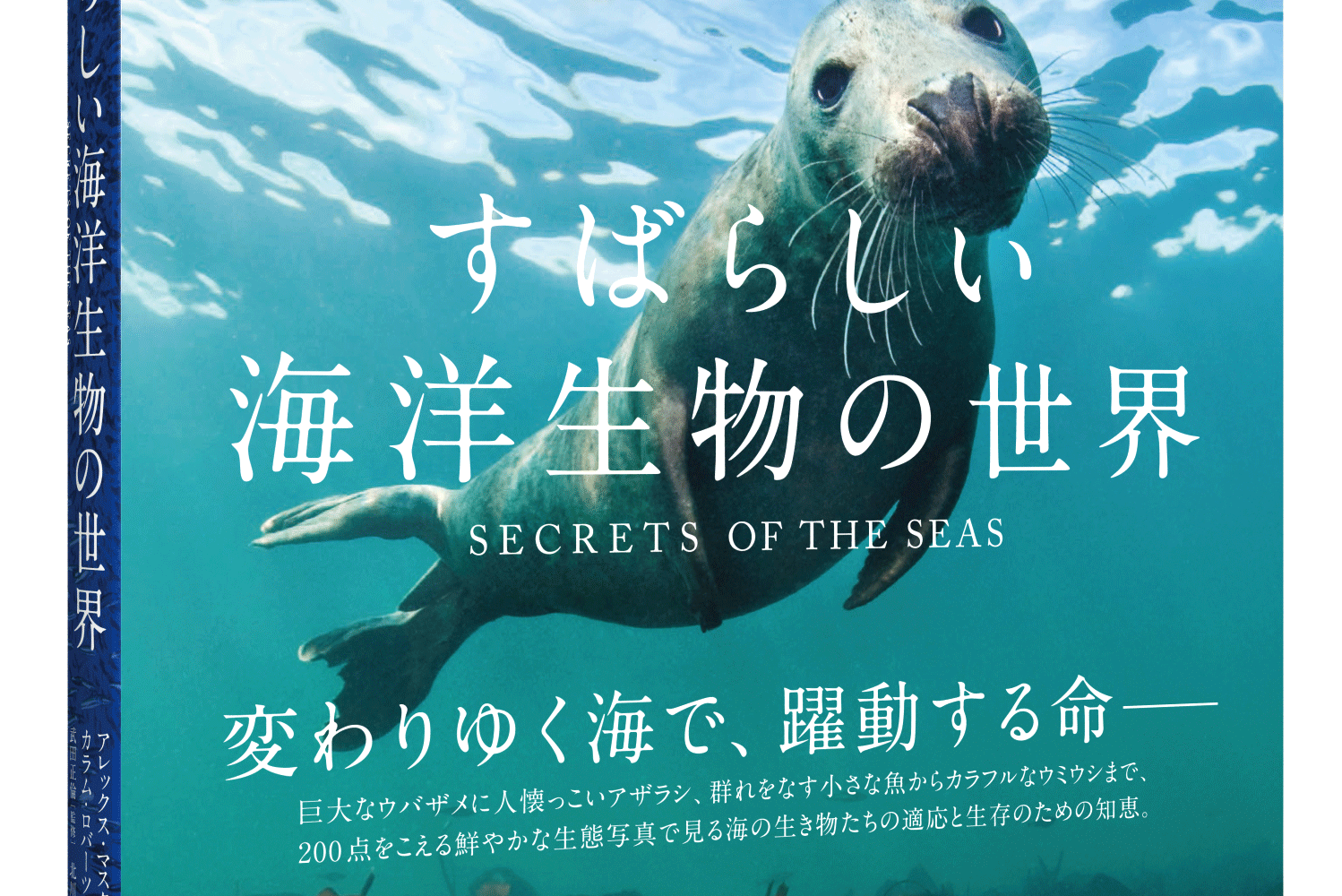 書籍「すばらしい海洋生物の世界」