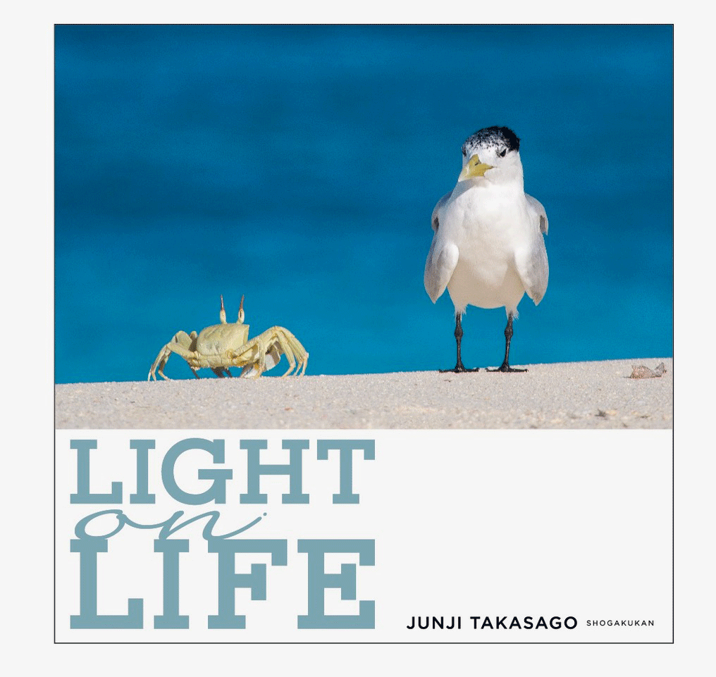 書籍＆写真展　高砂淳二「LIGHT on LIFE」