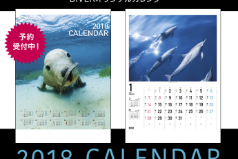 DIVERオリジナルカレンダー2018