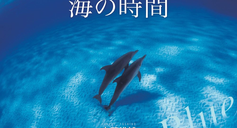 吉野雄輔さんカレンダー『海の時間 Blue』