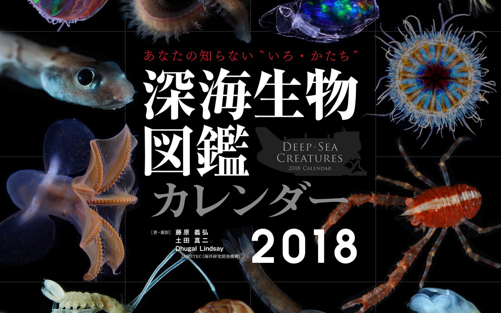 深海生物図鑑カレンダー2018