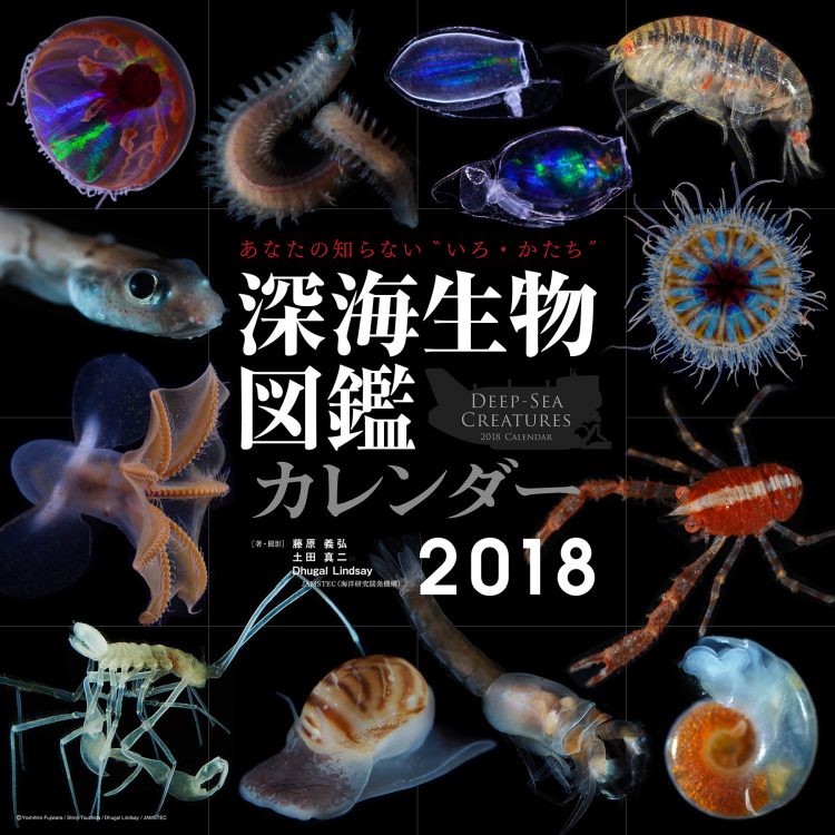 深海生物図鑑カレンダー2018