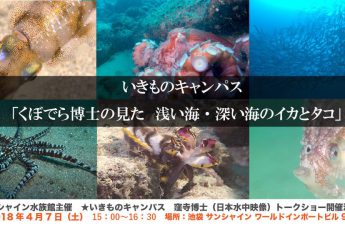 サンシャイン水族館で窪寺恒己博士トークショー