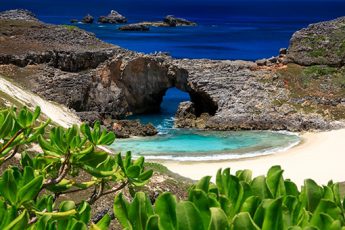 MANA 野元学作品展「PLANET BONIN -楽園の記憶-」