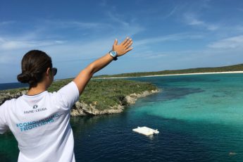 フリーダイバー 木下紗佑里さんがNHK WORLDに出演