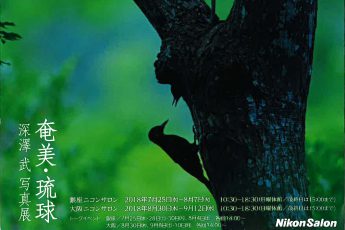 深澤武写真展「奄美・琉球」