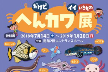 名古屋港水族館で、へんカワ展