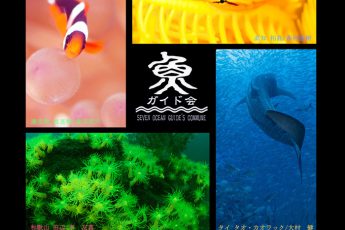 池袋で「海のシェルパ展」が開催！4月1日〜3日