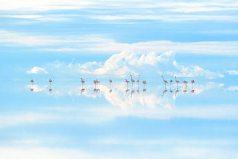 6/4〜24　高砂淳二さん写真展『Planet of Water』新宿で