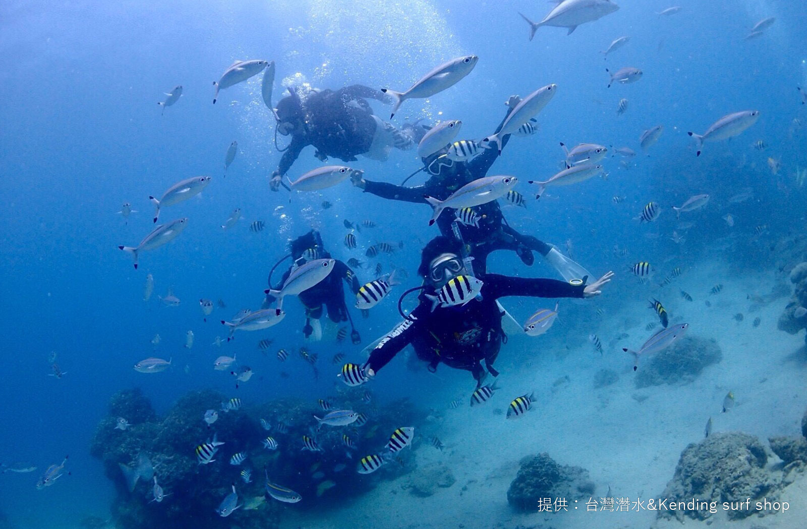 台湾（Taiwan）のおすすめダイビングスポット一覧 ダイビングならDiver Online