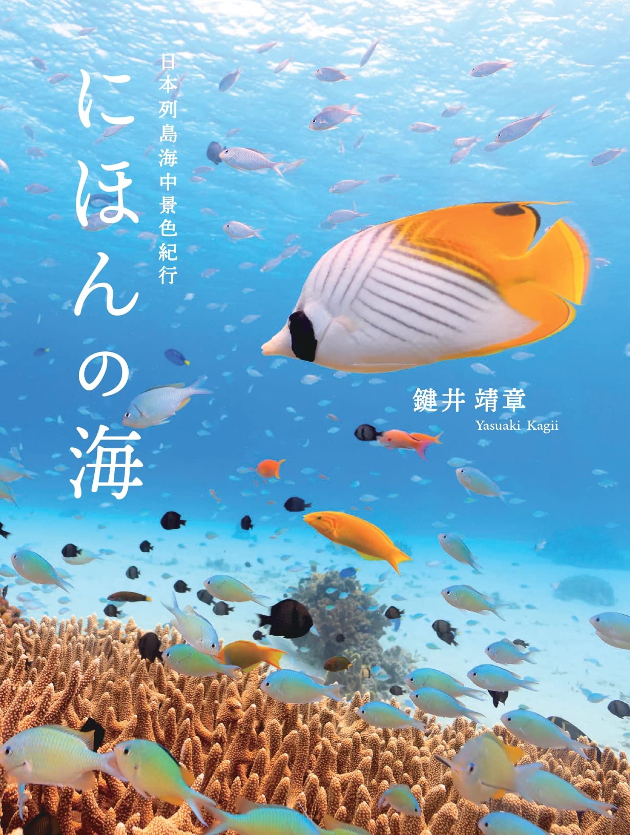 8/12発売！鍵井靖章写真集「にほんの海 日本列島海中景色紀行」 | ダイビングならDiver Online